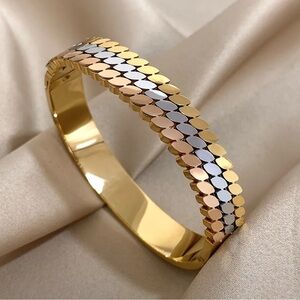 Elegant Tri-Colored Hinged Bracelet